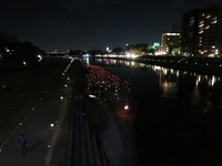 IMG_4706.JPG