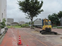 IMG_5264.JPG
