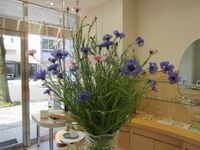 IMG_8904.JPG